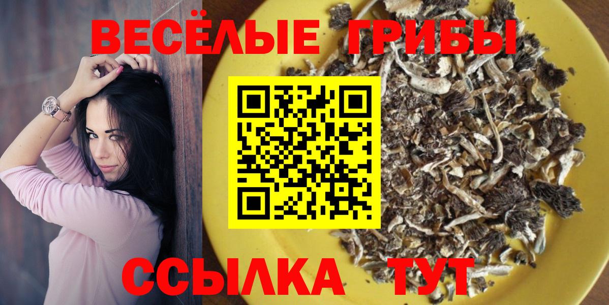 Среднеуральск  Псилоцибиновые грибы прущие грибы  Вход с VPN 